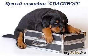 Моя большая благодарность!!!!