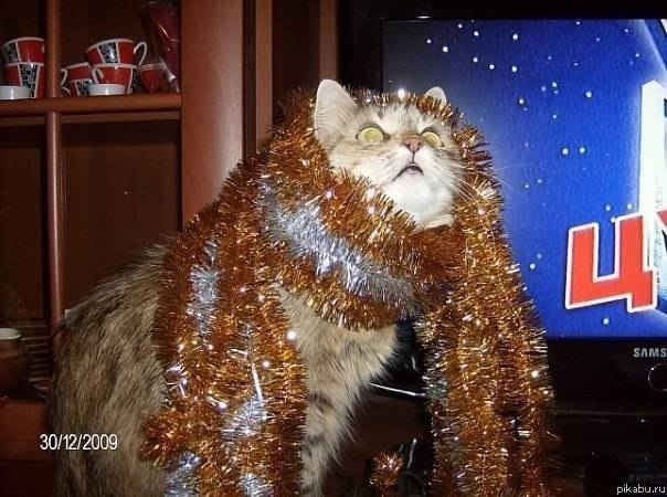 Много, много, много фото-приколов