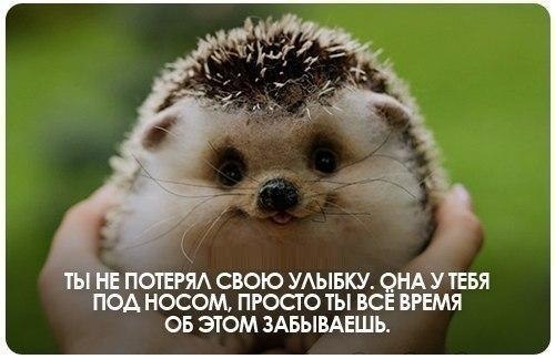 Много, много, много фото-приколов