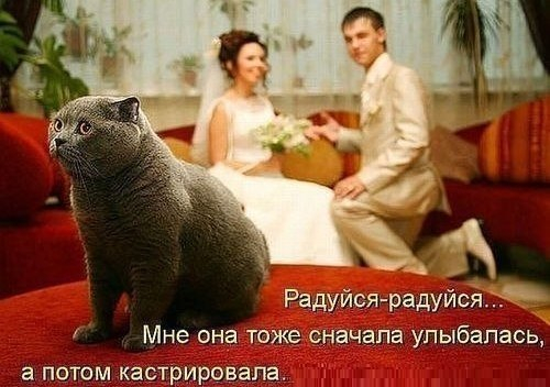 Много, много, много фото-приколов