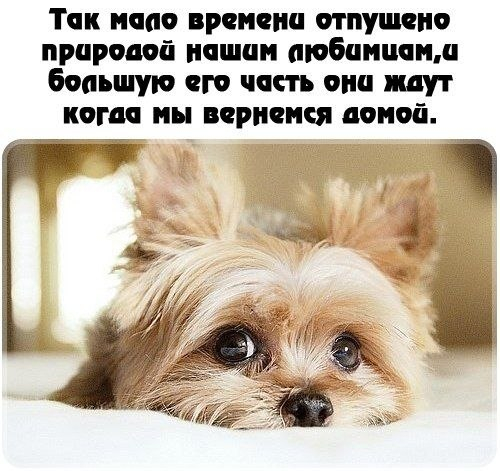 Много, много, много фото-приколов