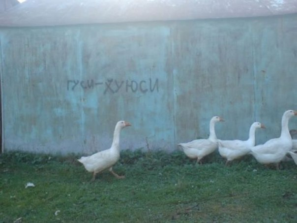 Еще немного позитива))) Ловите))))