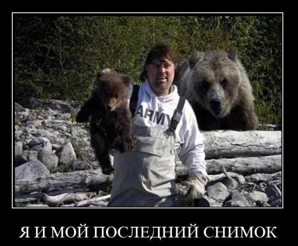 Много, много, много фото-приколов