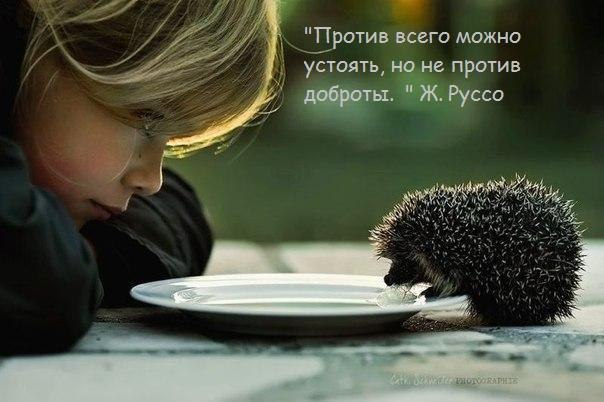 Много, много, много фото-приколов