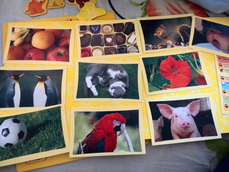 Игра Моя первая викторина от Tactic