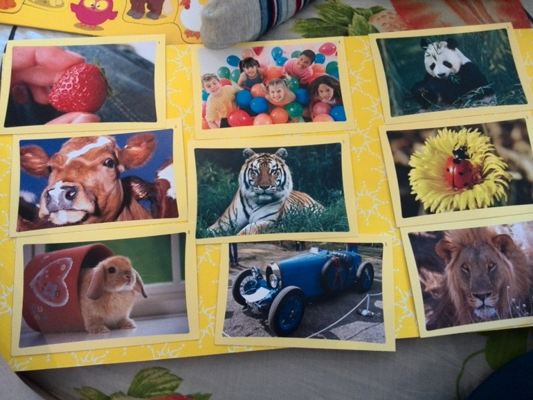 Игра Моя первая викторина от Tactic