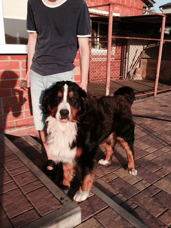 Требуется невеста