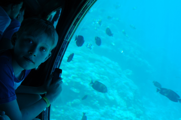 Отдых в Египте с двумя детьми (10 лет и 1,5 г.)