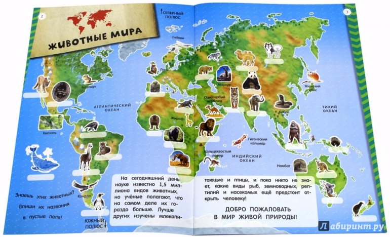 Мой атлас животных