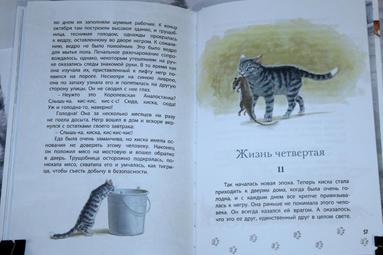 Сетон королевская аналостанка. Сетон Томпсон Королевская Аналостанка. Иллюстрации Сетона Томпсона к рассказу Королевская Аналостанка. Сетон-Томпсон э. "Королевская Аналостанка". Королевская Аналостанка книга.