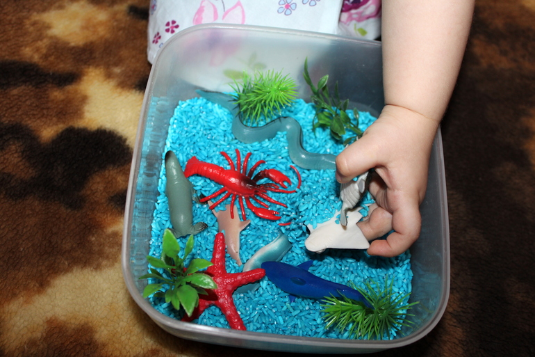 Пятый день ТН