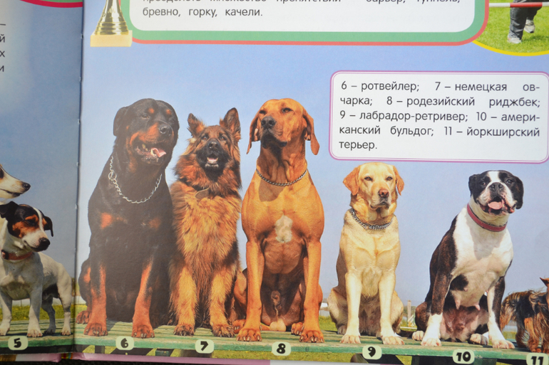 Много книг для детей!!! Все новые!!