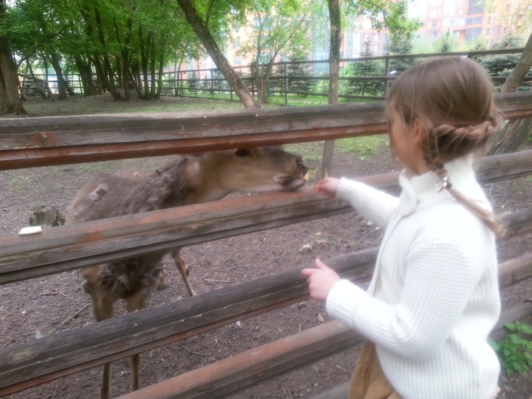 Контактный зоопарк ЖК Золотые ключи 2