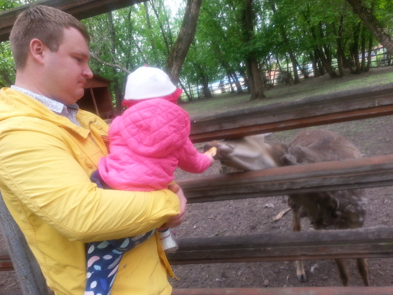 Контактный зоопарк ЖК Золотые ключи 2