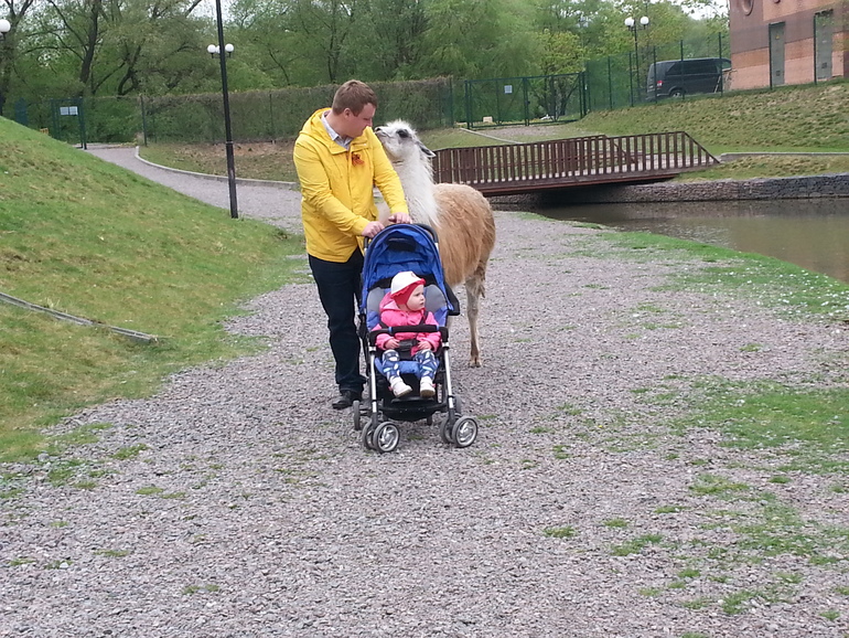 Контактный зоопарк ЖК Золотые ключи 2