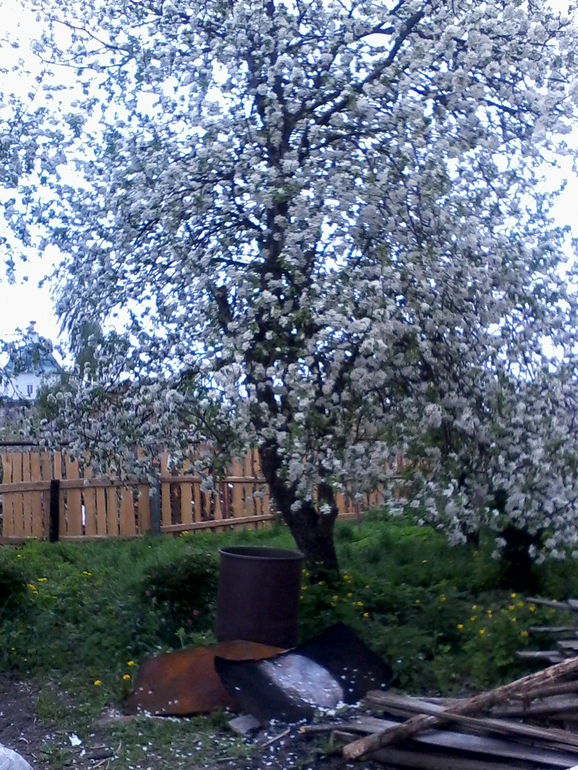 критические дни