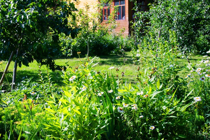 Сдается дача