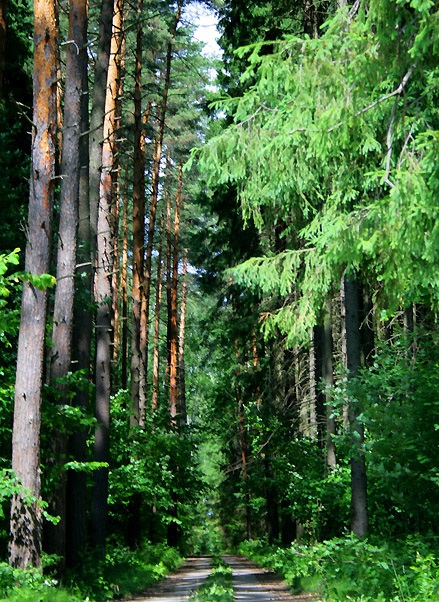 Сдается дача