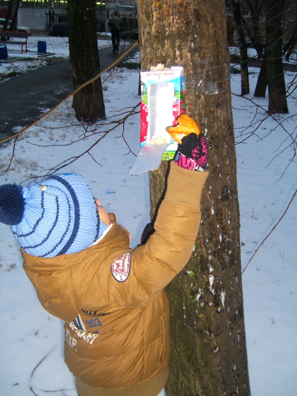 НОВОГОДНИЙ ПЕРЕПОЛОХ 1 НЕДЕЛЯ