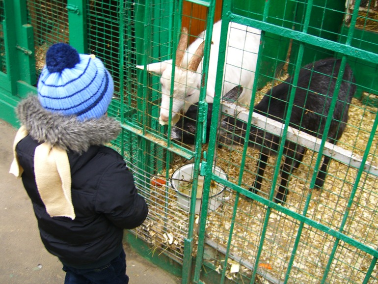 Наши выходные!!!!!!