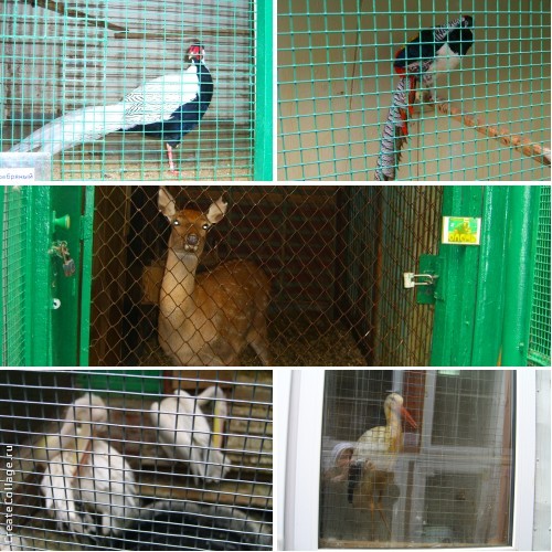 ВЫХОДНОЙ СУББОТА!!!