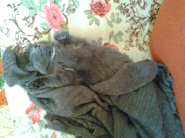 вот так мы любим спать)))