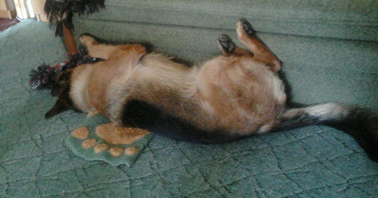 вот такие мы шладкие...