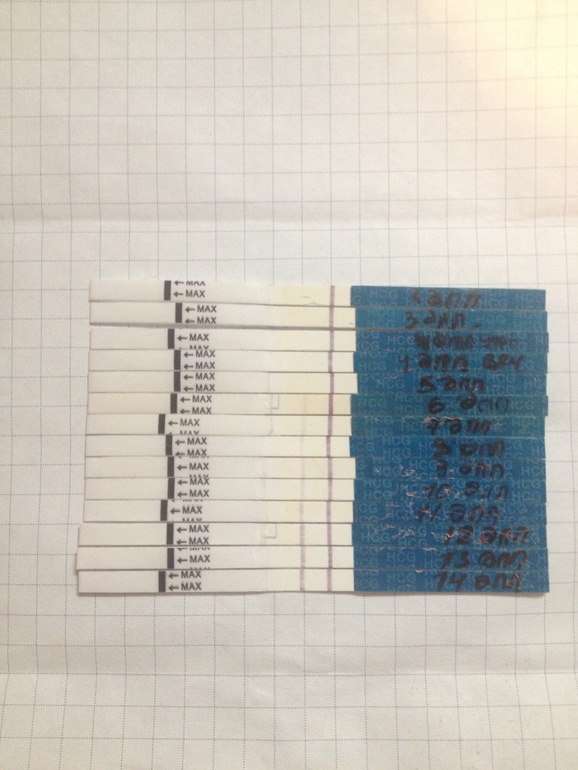 Новогодний ХГЧ :)