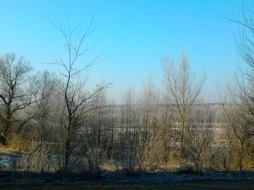 День 42