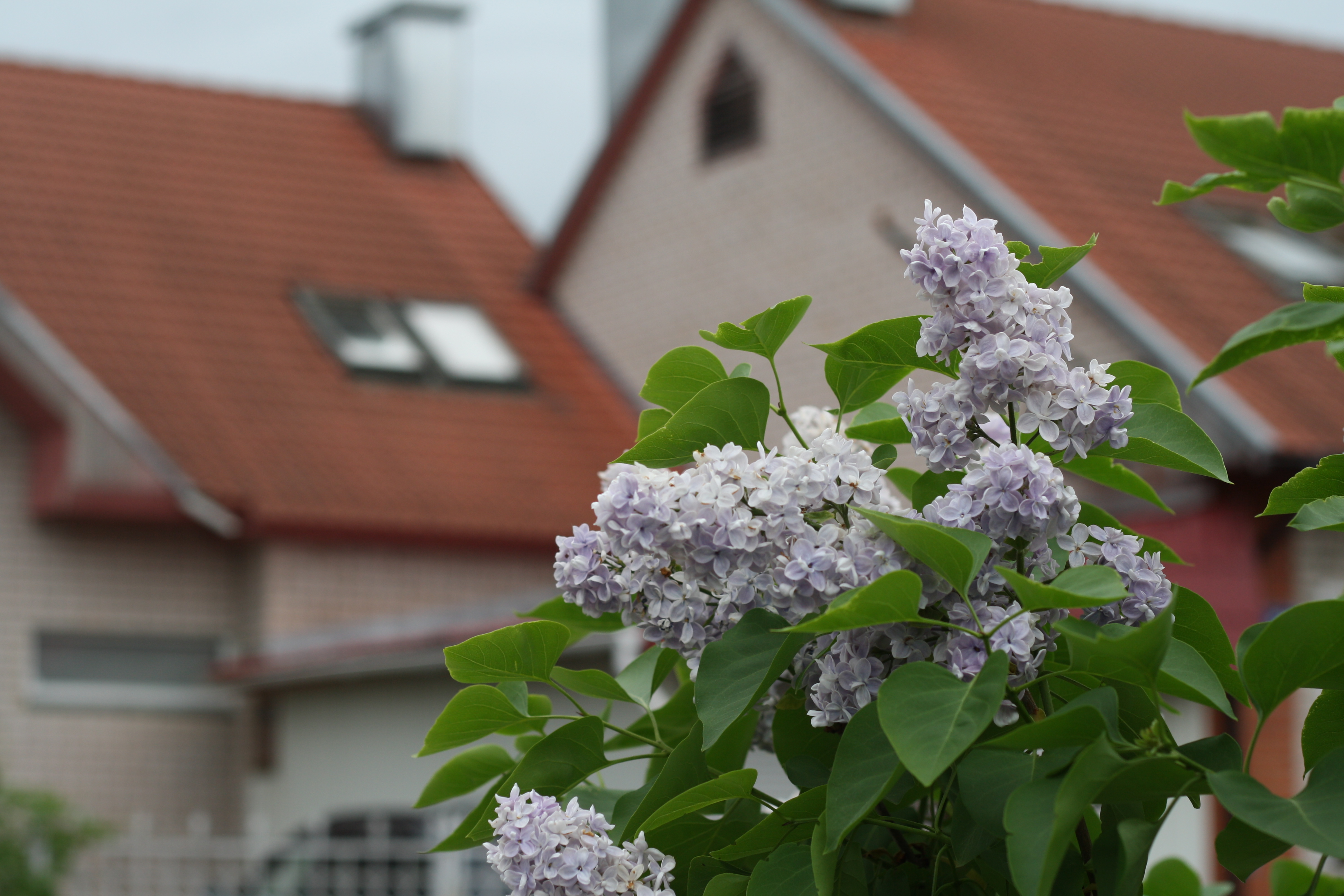 немного фото о лете и ранней осени.