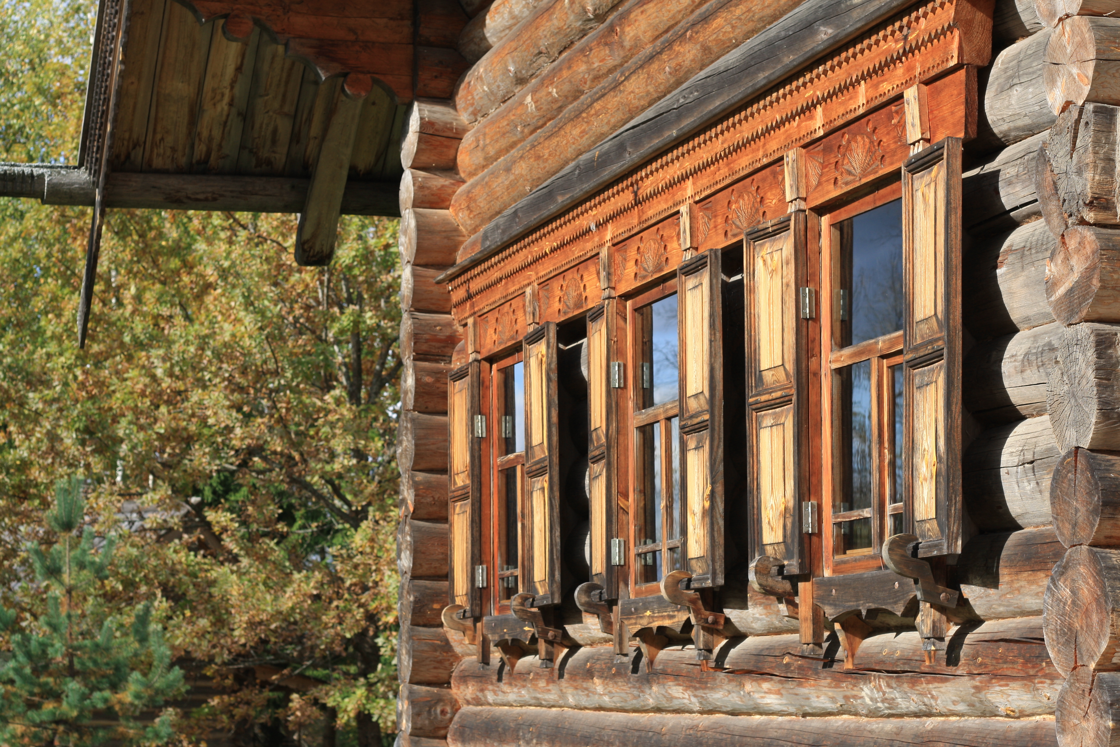 немного фото о лете и ранней осени.