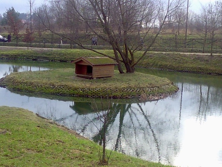 Курица не птица - Польша не заграница,,, или отчёт о поездке