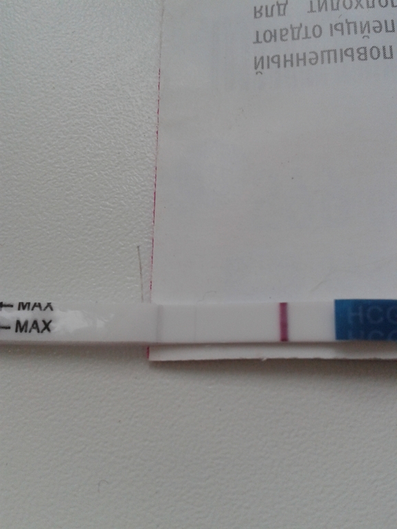 Посмотрите, пожалуйста!