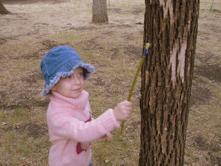 Прогулка 2