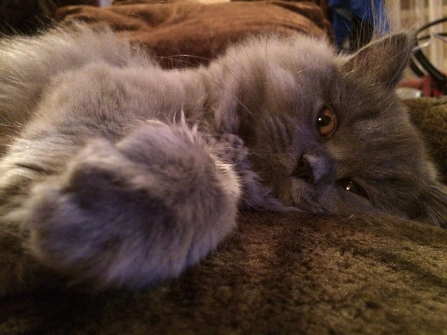 Прислали фото нашего