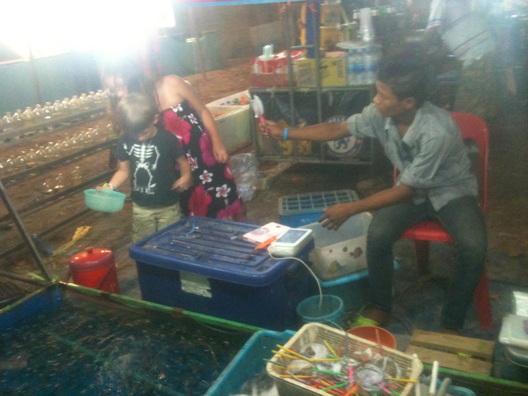 домашняя зверушка 2