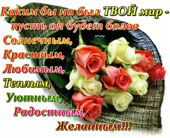 fe978fc537a670d0fea510ed6bc6f3a0.jpg