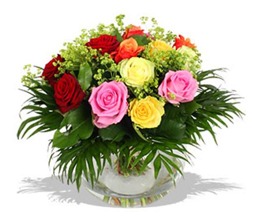 64fd23135e3fdf552bbb4225bb45cf96.jpg