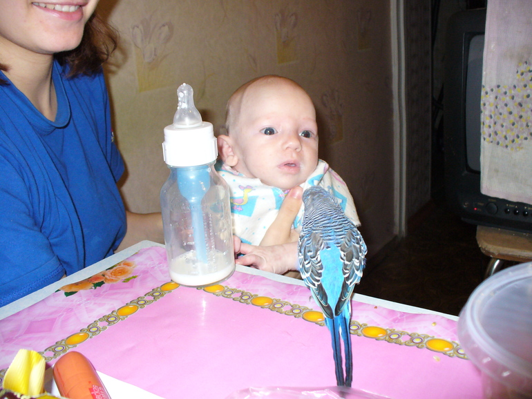 Немножко Санька))))(маленького)