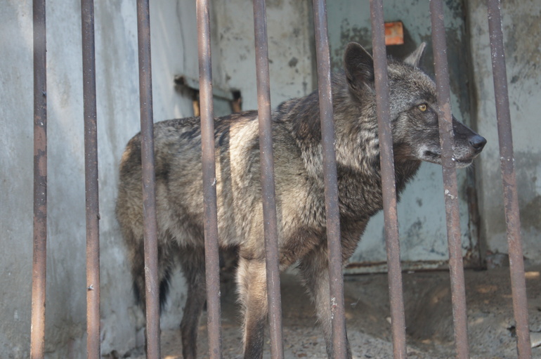 Казань