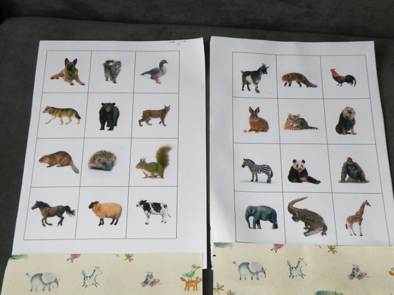 карточки мемори