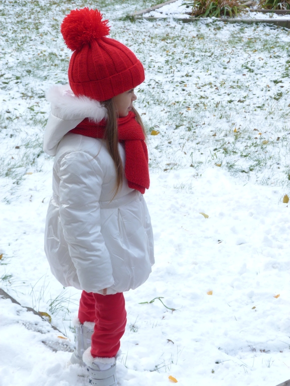 f860166ac7f55eba5d55a7a8c7dca252.jpg