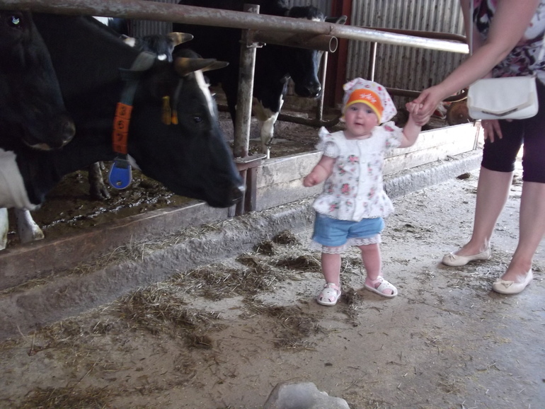 Далеко, далеко, на лугу пасутся ко....