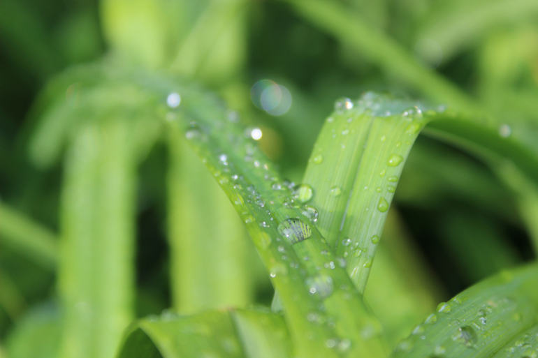 После дождичка))