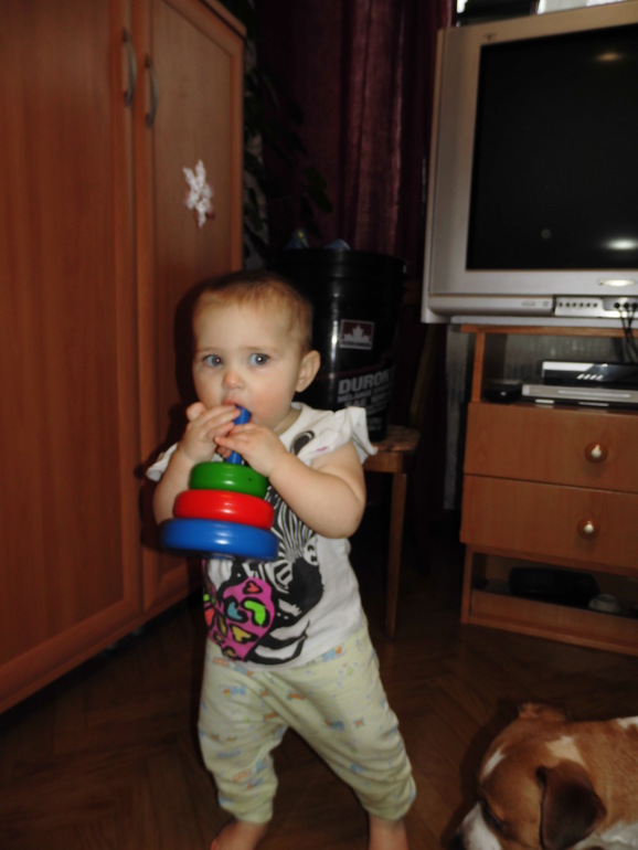 Отчет за год.