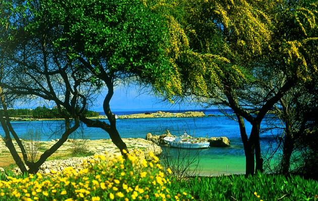 Едем на Кипр в июле