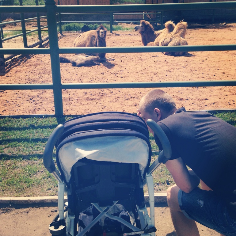 А мы сегодня ездили в частный Зоопарк!