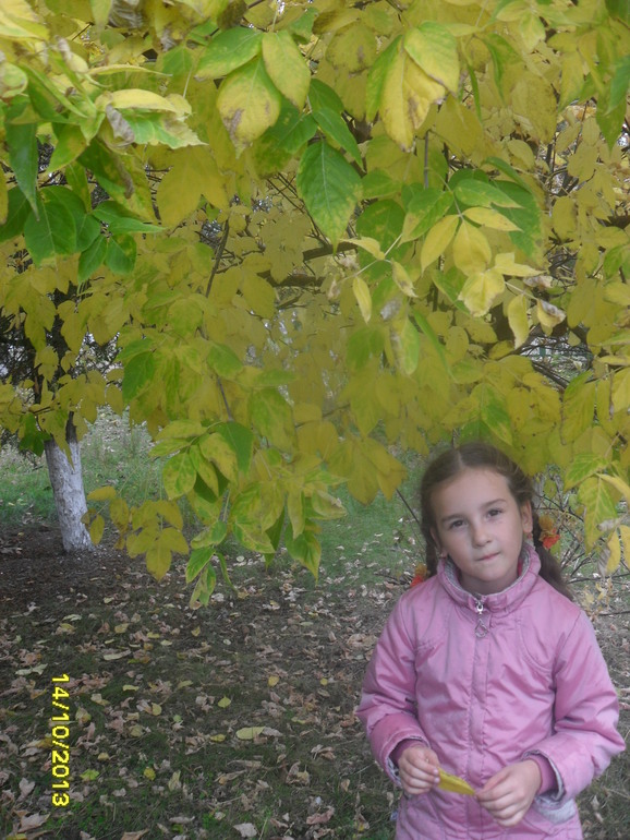 7f17429d6e771677c6e9147a5a980a11.jpg