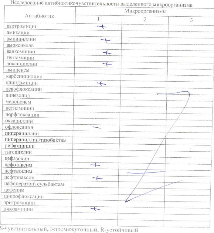 Дорогие мои девчушечки помогите расшифровать.