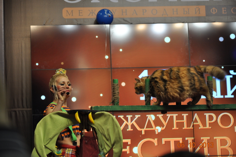 Постой, паровоз, не стучите, колеса...